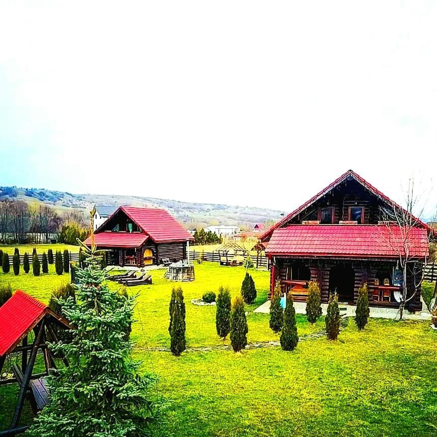 La Casute Bran Villa Бран Екстериор снимка