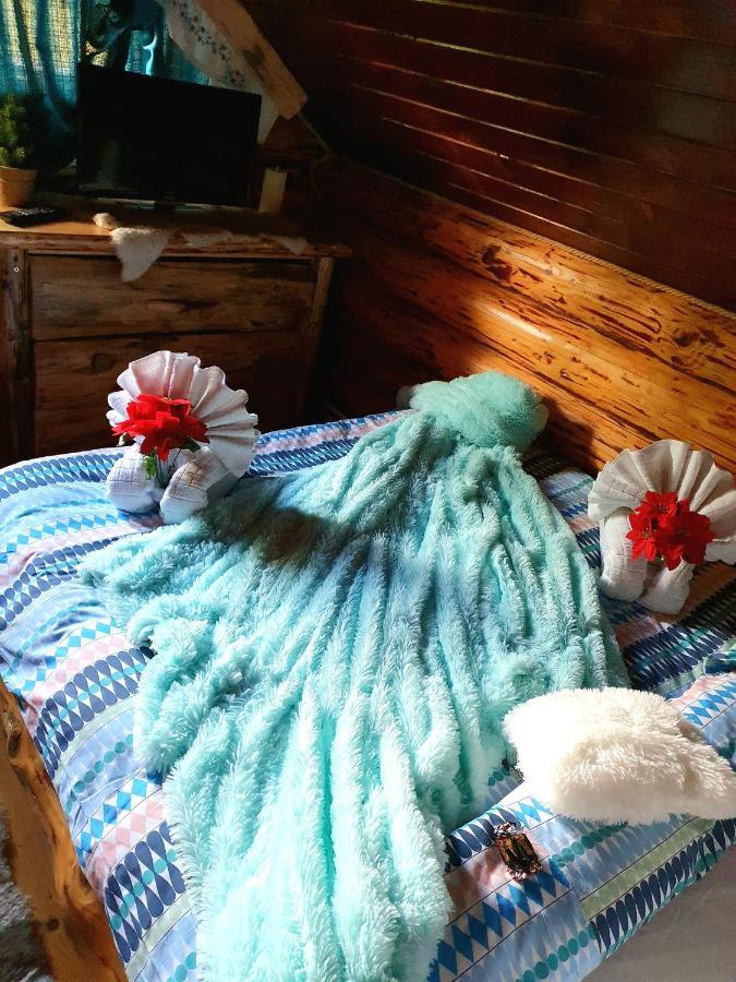 La Casute Bran Villa Бран Екстериор снимка