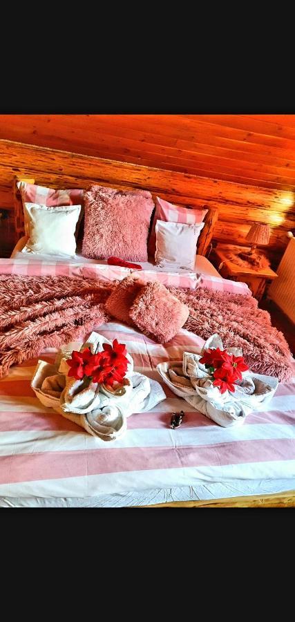 La Casute Bran Villa Бран Екстериор снимка