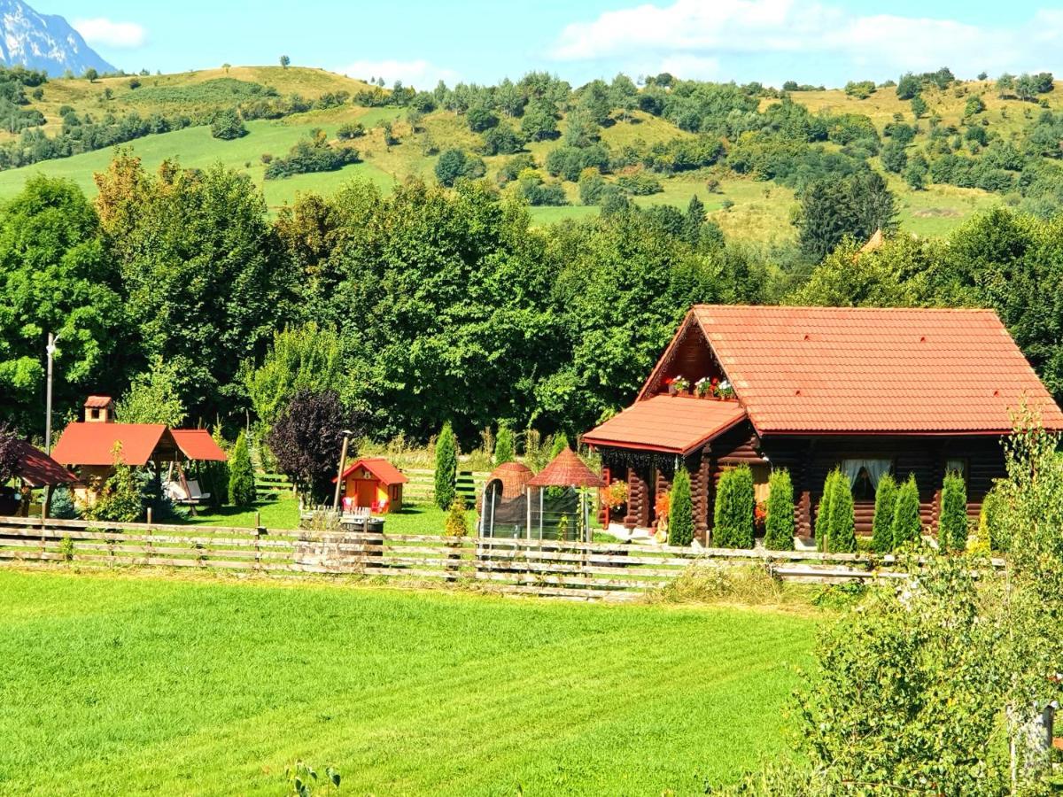 La Casute Bran Villa Бран Екстериор снимка